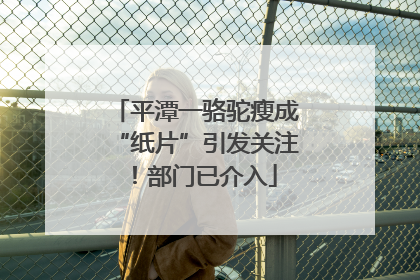 平潭一骆驼瘦成“纸片”引发关注！部门已介入