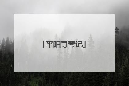 平阳寻琴记