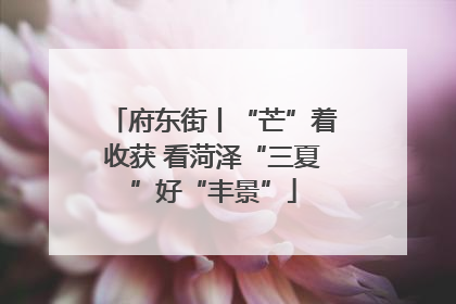 府东街丨“芒”着收获 看菏泽“三夏”好“丰景”