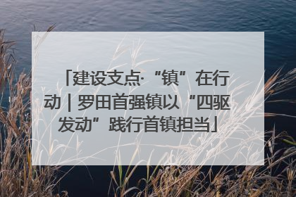 建设支点·“镇”在行动｜罗田首强镇以“四驱发动”践行首镇担当