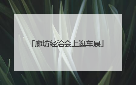 廊坊经洽会上逛车展
