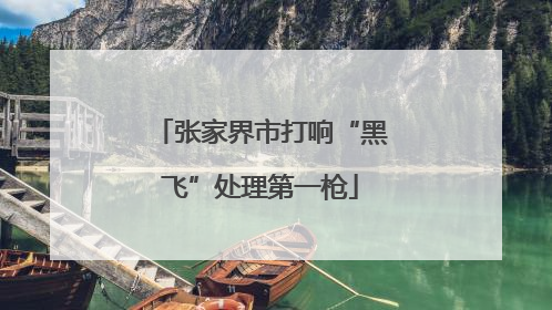 张家界市打响“黑飞”处理第一枪