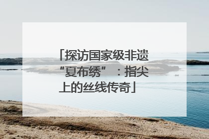 探访国家级非遗“夏布绣”：指尖上的丝线传奇