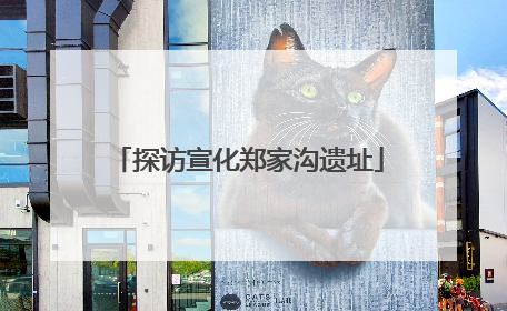 探访宣化郑家沟遗址