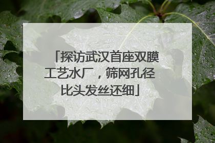 探访武汉首座双膜工艺水厂，筛网孔径比头发丝还细