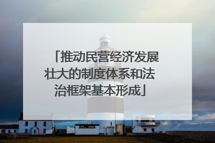 推动民营经济发展壮大的制度体系和法治框架基本形成