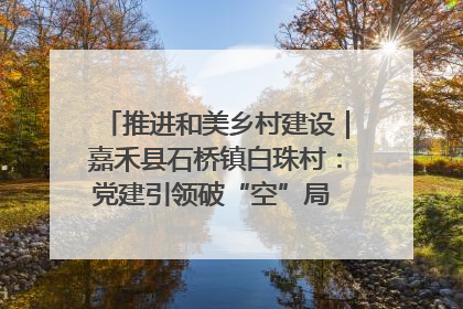 推进和美乡村建设｜嘉禾县石桥镇白珠村：党建引领破“空”局 乡贤聚力绘就新图景