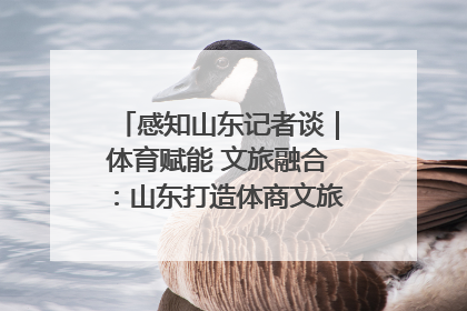 感知山东记者谈｜体育赋能 文旅融合：山东打造体商文旅融合发展新格局
