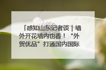 感知山东记者谈｜墙外开花墙内也香！“外贸优品”打通国内国际市场“旋转门”