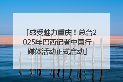 感受魅力重庆！总台2025年巴西记者中国行媒体活动正式启动