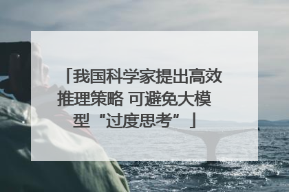 我国科学家提出高效推理策略 可避免大模型“过度思考”