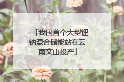 我国首个大型锂钠混合储能站在云南文山投产