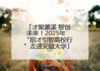 才聚濉溪 智创未来！2025年“招才引智高校行”走进安徽大学