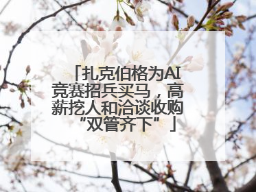 扎克伯格为AI竞赛招兵买马，高薪挖人和洽谈收购“双管齐下”