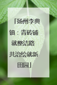 扬州李典镇：青砖铺就整洁路 共治绘就新田园