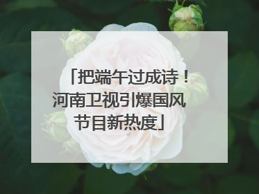 把端午过成诗！河南卫视引爆国风节目新热度