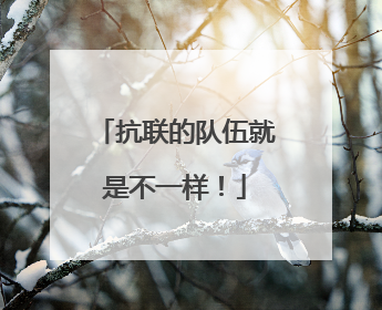抗联的队伍就是不一样！