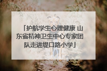 护航学生心理健康 山东省精神卫生中心专家团队走进堤口路小学