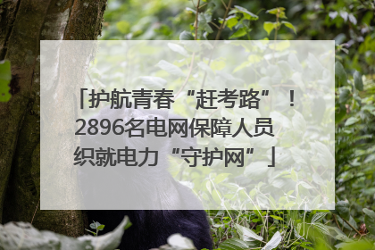 护航青春“赶考路”！2896名电网保障人员织就电力“守护网”