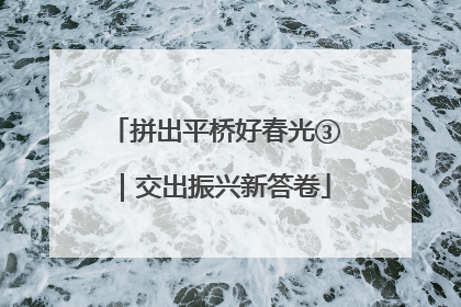 拼出平桥好春光③｜交出振兴新答卷