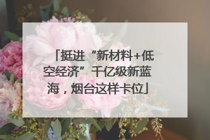 挺进“新材料+低空经济”千亿级新蓝海，烟台这样卡位