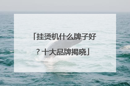 挂烫机什么牌子好？十大品牌揭晓