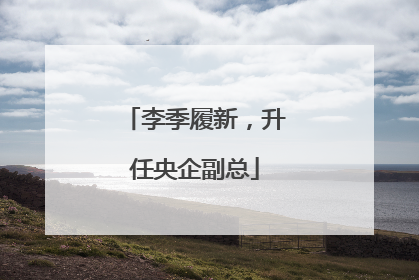 李季履新，升任央企副总