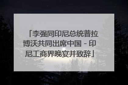 李强同印尼总统普拉博沃共同出席中国－印尼工商界晚宴并致辞