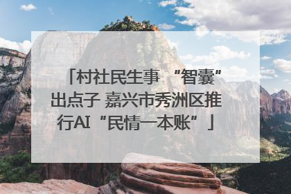 村社民生事 “智囊”出点子 嘉兴市秀洲区推行AI“民情一本账”