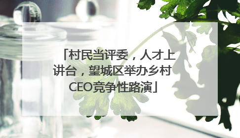 村民当评委，人才上讲台，望城区举办乡村CEO竞争性路演