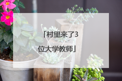 村里来了3位大学教师