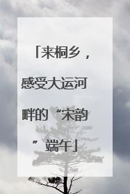 来桐乡，感受大运河畔的“宋韵”端午