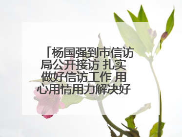 杨国强到市信访局公开接访 扎实做好信访工作 用心用情用力解决好群众急难愁盼