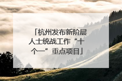 杭州发布新阶层人士统战工作“十个一”重点项目
