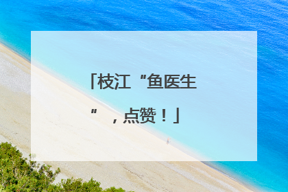 枝江“鱼医生”，点赞！