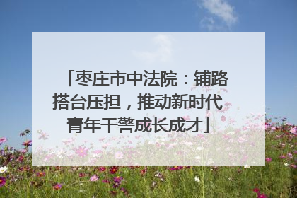 枣庄市中法院：铺路搭台压担，推动新时代青年干警成长成才