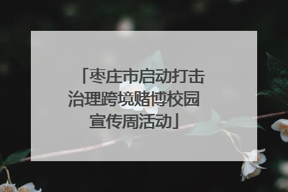 枣庄市启动打击治理跨境赌博校园宣传周活动