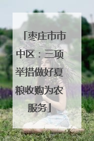 枣庄市市中区：三项举措做好夏粮收购为农服务