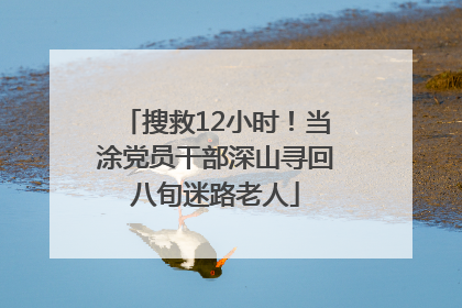 搜救12小时！当涂党员干部深山寻回八旬迷路老人