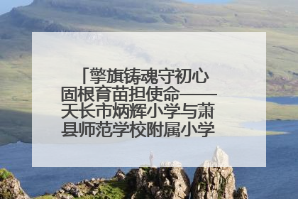 擎旗铸魂守初心 固根育苗担使命——天长市炳辉小学与萧县师范学校附属小学结对共建活动纪实