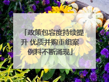 政策包容度持续提升 优质并购重组案例料不断涌现