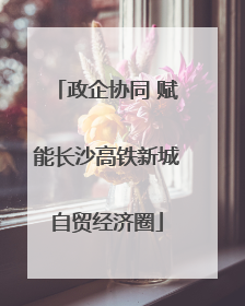 政企协同 赋能长沙高铁新城自贸经济圈
