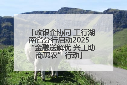政银企协同 工行湖南省分行启动2025“金融送解优 兴工助商惠农”行动