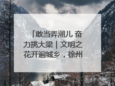 敢当弄潮儿 奋力挑大梁｜文明之花开遍城乡，徐州以昂扬风貌冲刺“万亿之城”