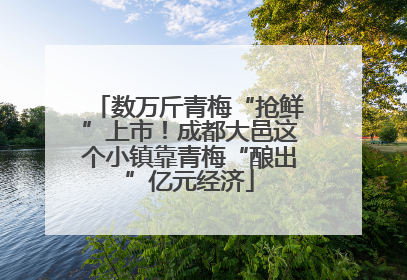数万斤青梅“抢鲜”上市！成都大邑这个小镇靠青梅“酿出”亿元经济