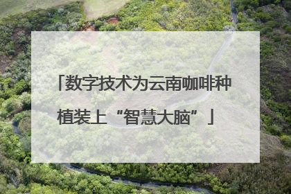 数字技术为云南咖啡种植装上“智慧大脑”