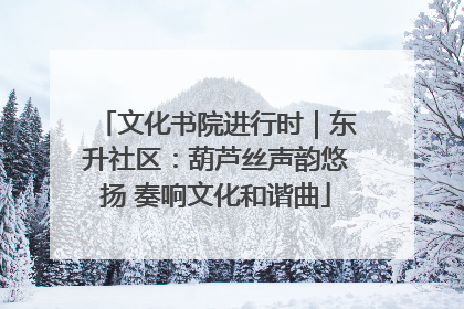 文化书院进行时｜东升社区：葫芦丝声韵悠扬 奏响文化和谐曲