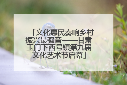 文化惠民奏响乡村振兴最强音——甘肃玉门下西号镇第九届文化艺术节启幕