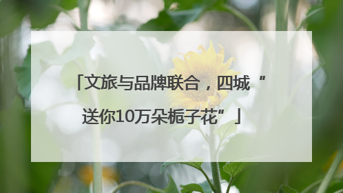 文旅与品牌联合，四城“送你10万朵栀子花”