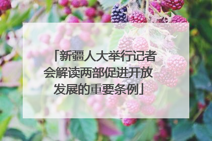 新疆人大举行记者会解读两部促进开放发展的重要条例